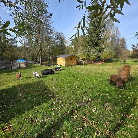 Farma U Lesa Apartment Hlinsko Bagian luar foto