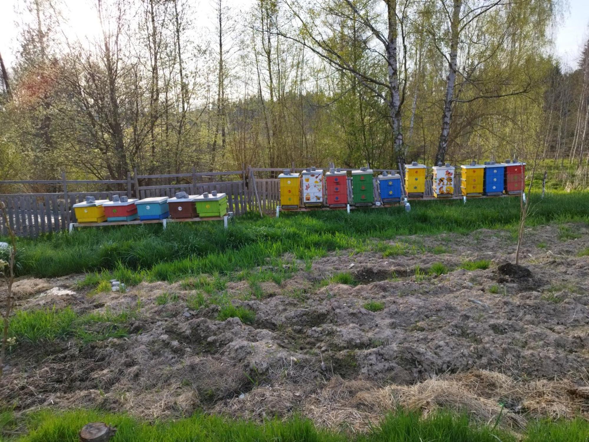 Farma U Lesa Apartment Hlinsko Bagian luar foto
